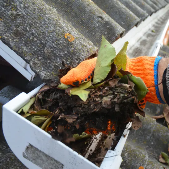 Gutter cleaning service